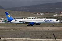 Javier de la Cruz - CANARY ISLANDS SPOTTING. Click to see full size photo