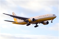 Javier de la Cruz - CANARY ISLANDS SPOTTING. Click to see full size photo