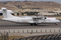 ©Alfonso Solís - Asociación Canary Islands Spotting. Click to see full size photo ©Alfonso Solís - Asociación Canary Islands Spotting. Click to see full size photo