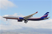 Miguel A. gueda Rguez.  (CANARY ISLANDS SPOTTING). Click to see full size photo