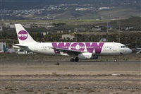 Chalo Canary Islands Spotting. Click to see full size photo