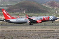 ©Alfonso Solís - Asociación Canary Islands Spotting. Click to see full size photo ©Alfonso Solís - Asociación Canary Islands Spotting. Click to see full size photo