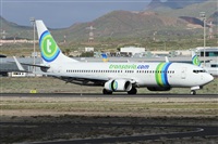 ©Alfonso Solís - Asociación Canary Islands Spotting. Click to see full size photo ©Alfonso Solís - Asociación Canary Islands Spotting. Click to see full size photo