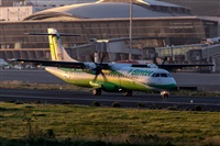 Javier de la Cruz - CANARY ISLANDS SPOTTING. Click to see full size photo