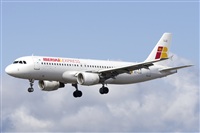 Saimon J Rodriguez   -   Canary Islands Spotting. Click to see full size photo