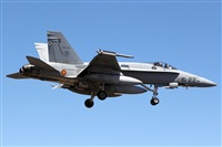 Adrin Alonso Lemes - Lanzarote Spotters. Click to see full size photo