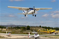 Josep Oll. Click to see full size photo