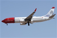 Alfonso Sols - Asociacin Canary Islands Spotting. Click to see full size photo
