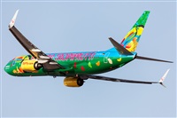 Florencio Martn Melin - Lanzarote Spotters. Click to see full size photo