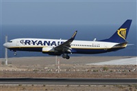 ©Alfonso Solís - Asociación Canary Islands Spotting. Click to see full size photo ©Alfonso Solís - Asociación Canary Islands Spotting. Click to see full size photo