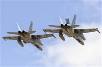 Paco Muoz Arencibia - Gran Canaria Spotters. Click to see full size photo