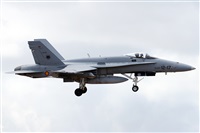 Alfonso Sols - Asociacin Canary Islands Spotting. Click to see full size photo