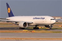 Miguel A. gueda Rguez.  (CANARY ISLANDS SPOTTING). Click to see full size photo