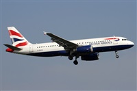 Alfonso Sols - Asociacin Canary Islands Spotting. Click to see full size photo