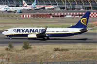 ©Alfonso Solís - Asociación Canary Islands Spotting. Click to see full size photo ©Alfonso Solís - Asociación Canary Islands Spotting. Click to see full size photo