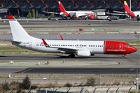 Alfonso Sols - Asociacin Canary Islands Spotting. Click to see full size photo