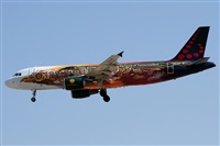 Alfonso Sols - Asociacin Canary Islands Spotting. Haz click para ampliar