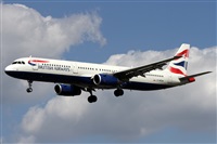 Alfonso Sols - Asociacin Canary Islands Spotting. Click to see full size photo