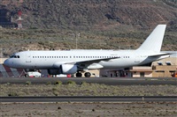 ©Alfonso Solís - Asociación Canary Islands Spotting. Click to see full size photo ©Alfonso Solís - Asociación Canary Islands Spotting. Click to see full size photo