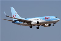 Alfonso Sols - Asociacin Canary Islands Spotting. Click to see full size photo