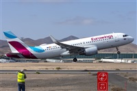©Daniel Santos Batista - Canary Islands Spotting. Click to see full size photo ©Daniel Santos Batista - Canary Islands Spotting. Click to see full size photo