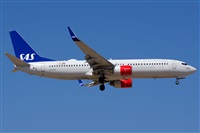 Saimon J Rodriguez   -   Canary Islands Spotting. Haz click para ampliar
