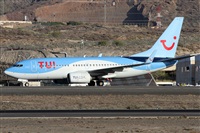 ©Alfonso Solís - Asociación Canary Islands Spotting. Click to see full size photo ©Alfonso Solís - Asociación Canary Islands Spotting. Click to see full size photo