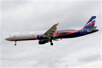 Miguel A. gueda Rguez.  (CANARY ISLANDS SPOTTING). Click to see full size photo
