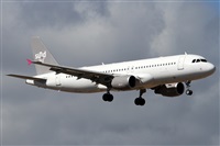 Alfonso Sols - Asociacin Canary Islands Spotting. Haz click para ampliar