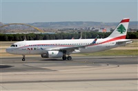 Miguel A. gueda Rguez.  (CANARY ISLANDS SPOTTING). Haz click para ampliar