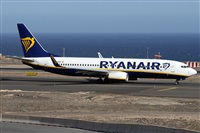 Alfonso Sols - Asociacin Canary Islands Spotting. Click to see full size photo