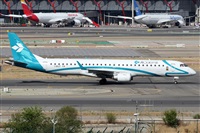 ©Alfonso Solís - Asociación Canary Islands Spotting. Click to see full size photo ©Alfonso Solís - Asociación Canary Islands Spotting. Click to see full size photo