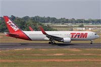 Fabio Duarte - Manaus Spotting Team. Click to see full size photo