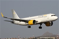 ©Alfonso Solís - Asociación Canary Islands Spotting. Click to see full size photo ©Alfonso Solís - Asociación Canary Islands Spotting. Click to see full size photo