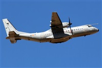 La Roche Spotters. Click to see full size photo