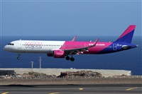 ©Alfonso Solís - Asociación Canary Islands Spotting. Click to see full size photo ©Alfonso Solís - Asociación Canary Islands Spotting. Click to see full size photo