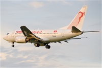 Miguel A. gueda Rguez.  (CANARY ISLANDS SPOTTING). Click to see full size photo