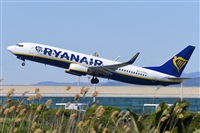 Miguel A. gueda Rguez.  (CANARY ISLANDS SPOTTING). Click to see full size photo