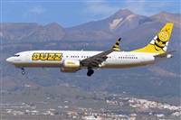Miguel A. gueda Rguez.  (CANARY ISLANDS SPOTTING). Click to see full size photo