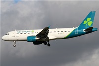 ©Alfonso Solís - Asociación Canary Islands Spotting. Click to see full size photo ©Alfonso Solís - Asociación Canary Islands Spotting. Click to see full size photo