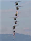 Andrzej Rejter. Click to see full size photo