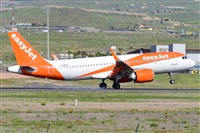 Miguel A. gueda Rguez.  (CANARY ISLANDS SPOTTING). Click to see full size photo