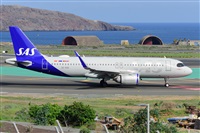 Miguel A. gueda Rguez.  (CANARY ISLANDS SPOTTING). Click to see full size photo