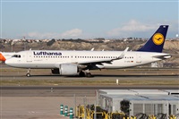 Alfonso Sols - Asociacin Canary Islands Spotting. Click to see full size photo