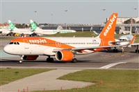Alfonso Sols - Asociacin Canary Islands Spotting. Click to see full size photo