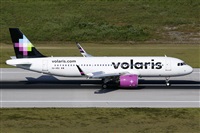 La Roche Spotters. Click to see full size photo
