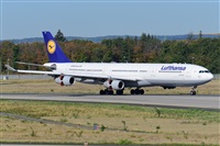 Miguel A. gueda Rguez.  (CANARY ISLANDS SPOTTING). Click to see full size photo