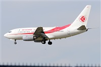 Miguel A. gueda Rguez.  (CANARY ISLANDS SPOTTING). Click to see full size photo