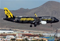 ©Alejandro H.L - Gran Canaria Spotters. Click to see full size photo ©Alejandro H.L - Gran Canaria Spotters. Click to see full size photo