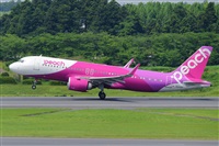 Miguel A. gueda Rguez.  (CANARY ISLANDS SPOTTING). Click to see full size photo